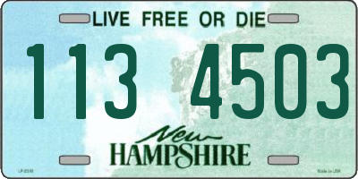 NH license plate 1134503