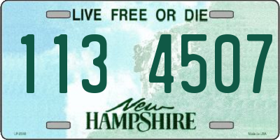 NH license plate 1134507