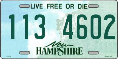 NH license plate 1134602