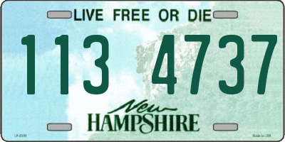 NH license plate 1134737