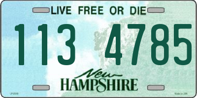 NH license plate 1134785
