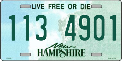 NH license plate 1134901