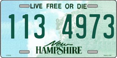 NH license plate 1134973