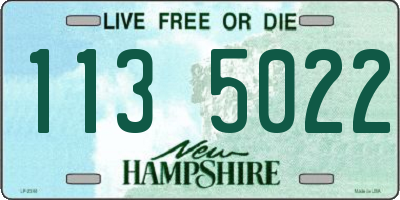 NH license plate 1135022