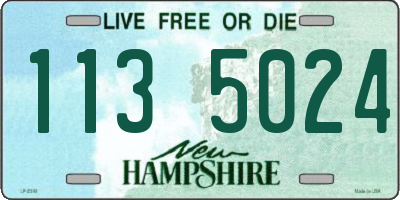 NH license plate 1135024