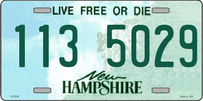 NH license plate 1135029