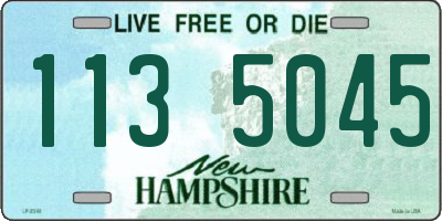 NH license plate 1135045
