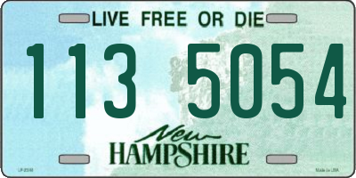 NH license plate 1135054