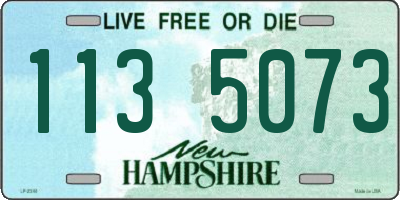 NH license plate 1135073