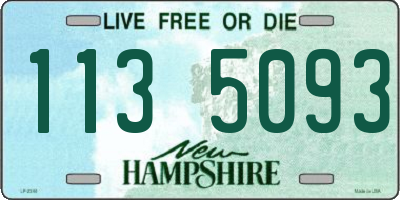 NH license plate 1135093