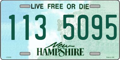 NH license plate 1135095