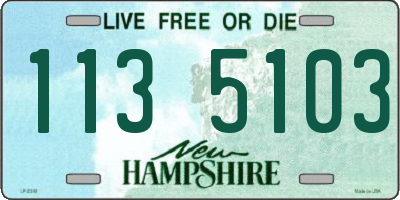 NH license plate 1135103