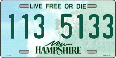 NH license plate 1135133