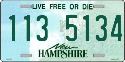 NH license plate 1135134