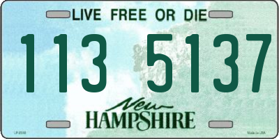 NH license plate 1135137