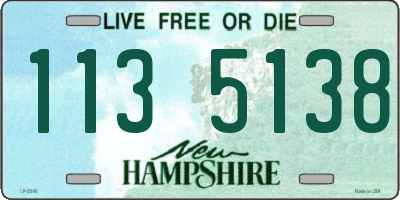 NH license plate 1135138