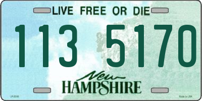 NH license plate 1135170