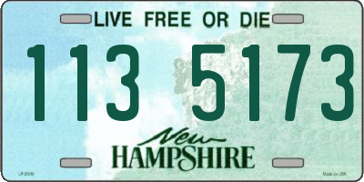 NH license plate 1135173
