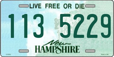 NH license plate 1135229