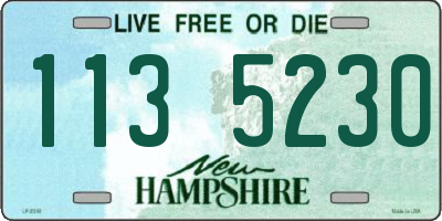 NH license plate 1135230
