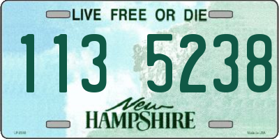NH license plate 1135238