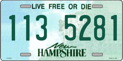 NH license plate 1135281