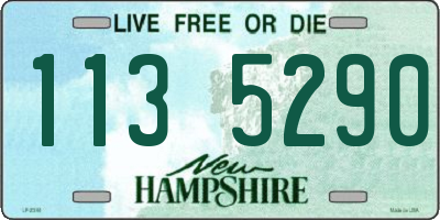 NH license plate 1135290