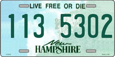 NH license plate 1135302