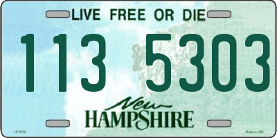 NH license plate 1135303