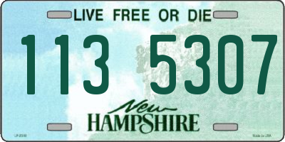 NH license plate 1135307