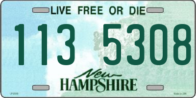 NH license plate 1135308