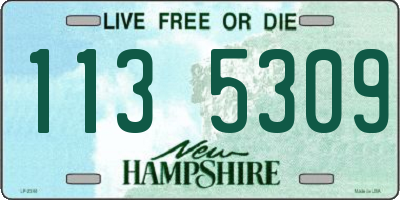 NH license plate 1135309