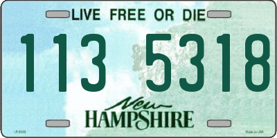 NH license plate 1135318