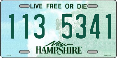 NH license plate 1135341
