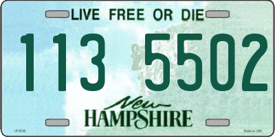 NH license plate 1135502