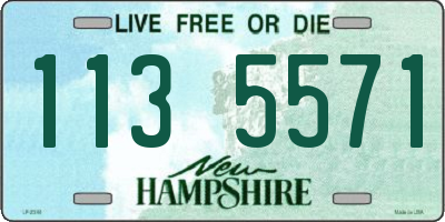 NH license plate 1135571