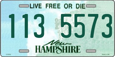 NH license plate 1135573