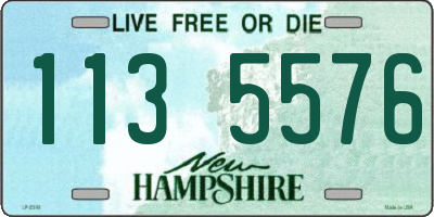 NH license plate 1135576