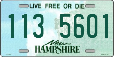 NH license plate 1135601