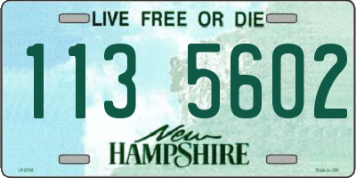 NH license plate 1135602