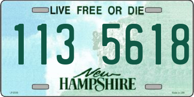 NH license plate 1135618