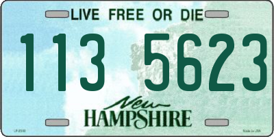 NH license plate 1135623