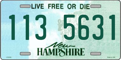 NH license plate 1135631