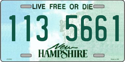 NH license plate 1135661