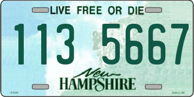 NH license plate 1135667