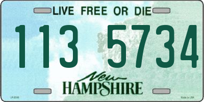 NH license plate 1135734