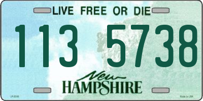 NH license plate 1135738