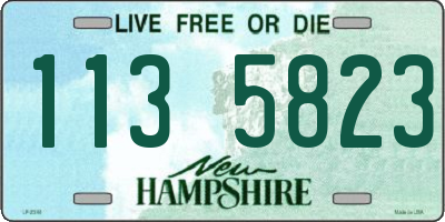 NH license plate 1135823