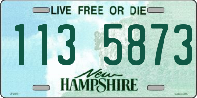 NH license plate 1135873