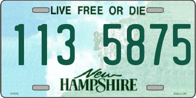 NH license plate 1135875